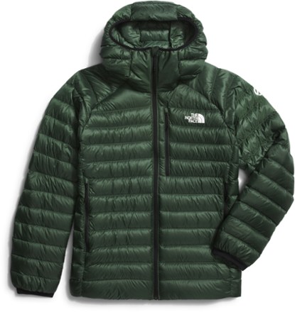 The north face discount edge to edge hoodie
