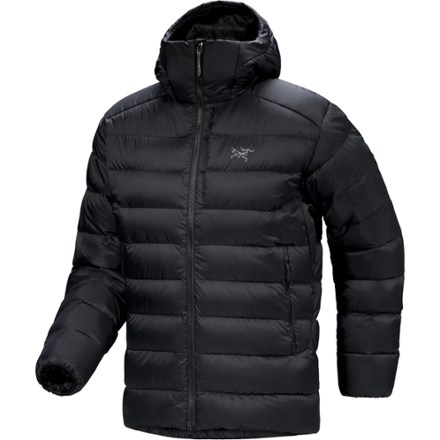Arc'teryx Thorium Down Hoody - Men's 0
