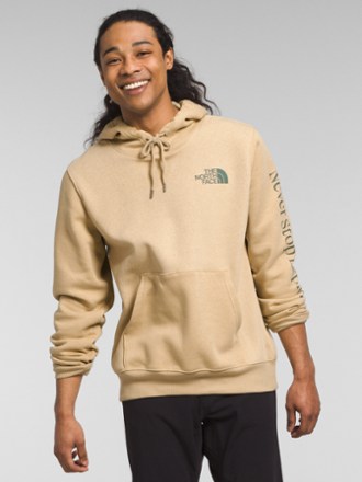 The North Face Places We Love Hoodie - Men's | REI Co-op