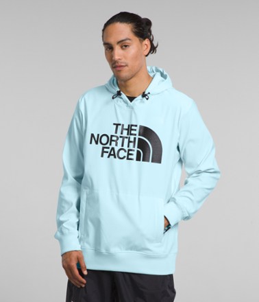 The North Face Tekno Logo Hoodie Men s REI Co op