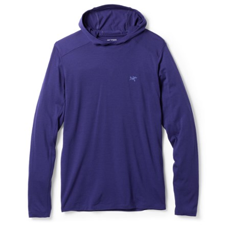 Arc'teryx Ionia Merino Wool Base Layer Hoody - Men's 0