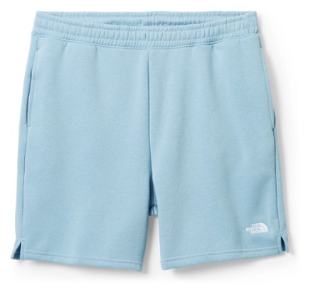 The North Face Men's Evolution Shorts