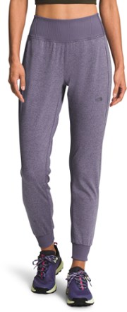 Below is the newest version of The North Face Dune Sky Joggers - Women's