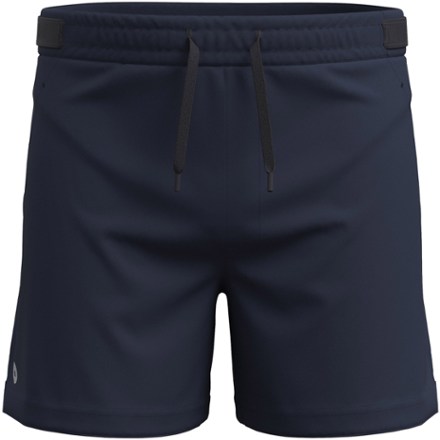 Smartwool Men's Active Lined 5" Shorts