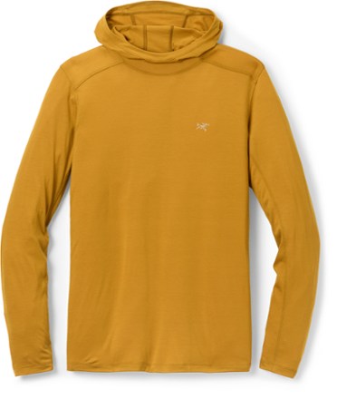 トップス ARC'TERYX Ionia Merino Wool Hoody Cloud Ionia Merino Wool Hoody Men's | Arc'teryx