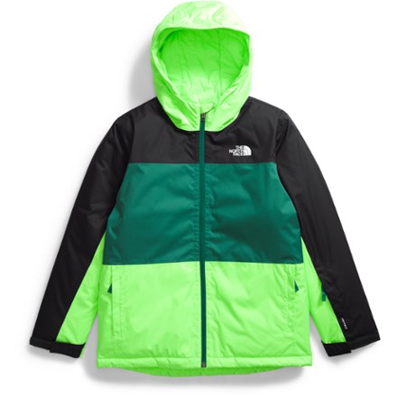 Below is the newest version of The North Face Freedom Insulated Jacket - Boys'