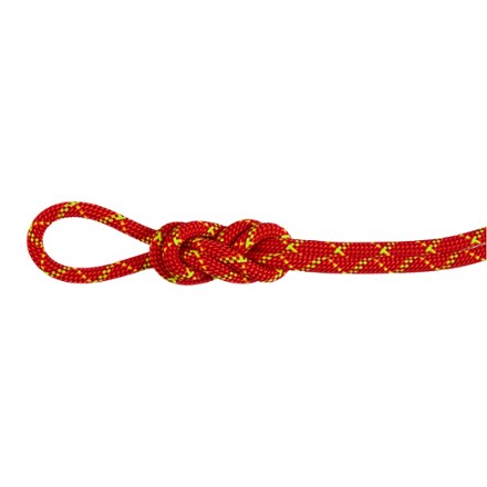 There's a newer version of Mammut Alpine Core Protect Dry 8.0 mm Rope