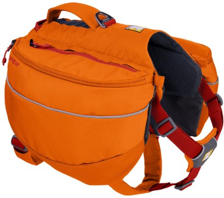 There's a newer version of Ruffwear Approach Dog Pack