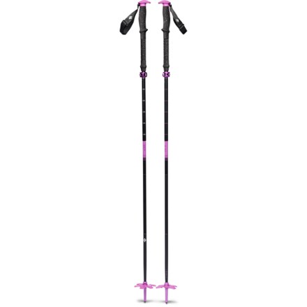 Black Diamond Expedition 3P Ski Poles - Pair | REI Co-op