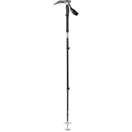 Black Diamond Expedition 3P Whippet Ski Pole - Single | REI Co-op