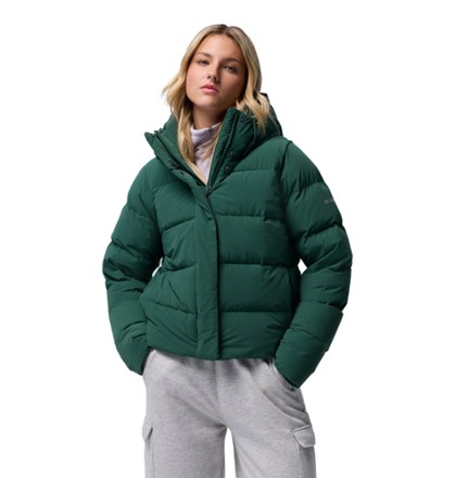 Arc'teryx Cerium LT Down Hoodie - Women's | REI Co-op