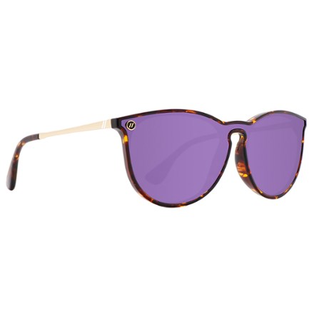 Below is the newest version of Blenders Eyewear North Park X2 Sunglasses