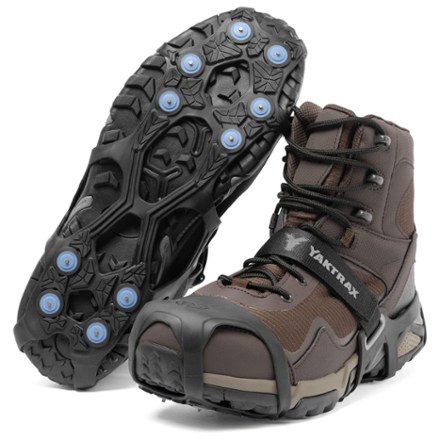 テクテク散歩 252498