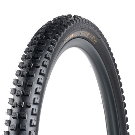 Bontrager Galbraith RSL SE TLR MTB Tire