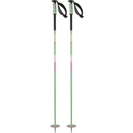 Dynafit Speed Vario Ski Poles - Pair | REI Co-op