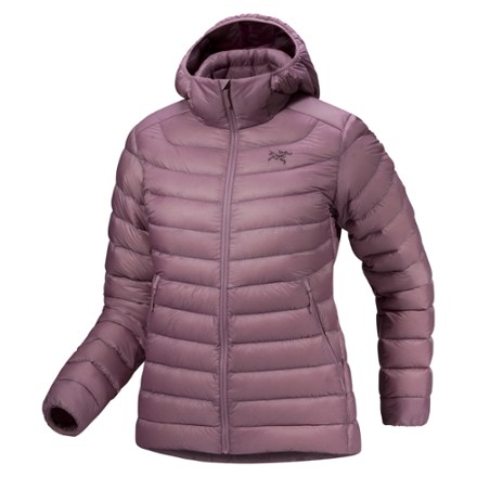 Arc'teryx Cerium Down Hoody - Women's | REI Co-op