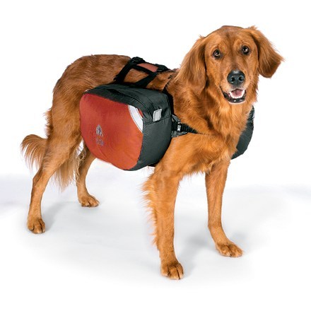 kelty dog backpack