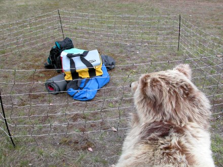 Counter Assault Electric Bear Fence | REI Co-op