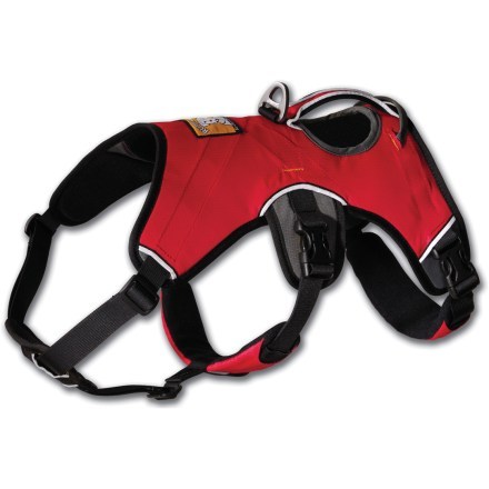 rei dog harness