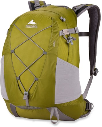 gregory z20 pack