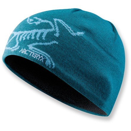 Arc'teryx Bird Head Toque Beanie | REI Co-op