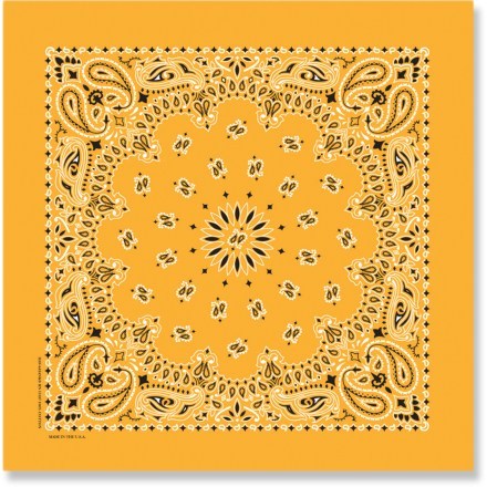 Paisley REI | Co-op Bandana Mfg. Carolina