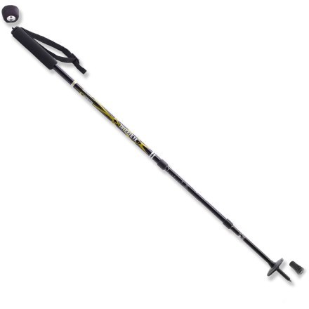 hiking stick monopod