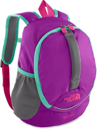 north face sprout backpack pink