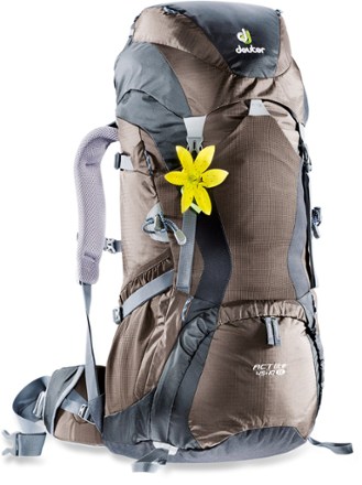 deuter 45