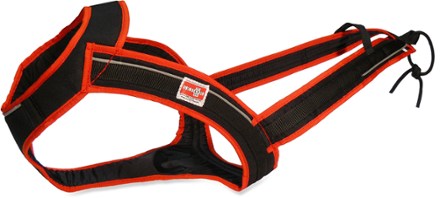 skijoring equipment for dogs