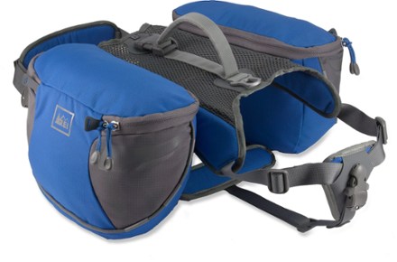 puppy throwing up not eating