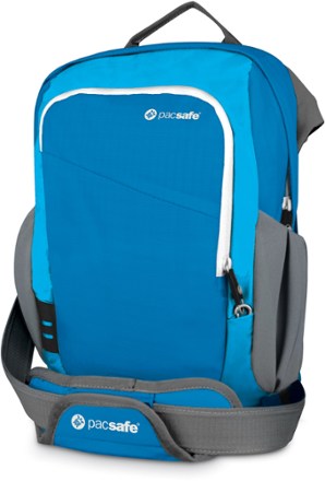 Pacsafe Venturesafe 300 GII Vertical Travel Bag | REI Co-op