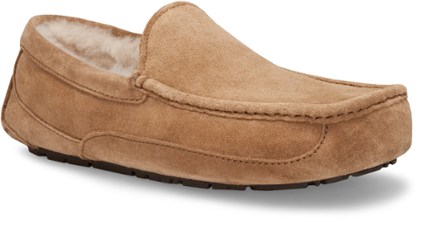 men's ascot ugg slippers