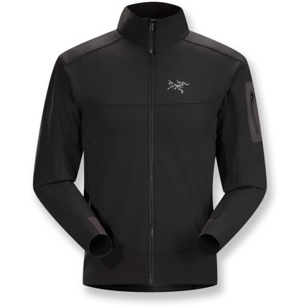 bestøver kæmpe Forfølge Arc'teryx Epsilon LT Jacket - Men's | REI Co-op