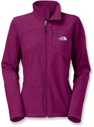 north face apex bionic hoodie women's