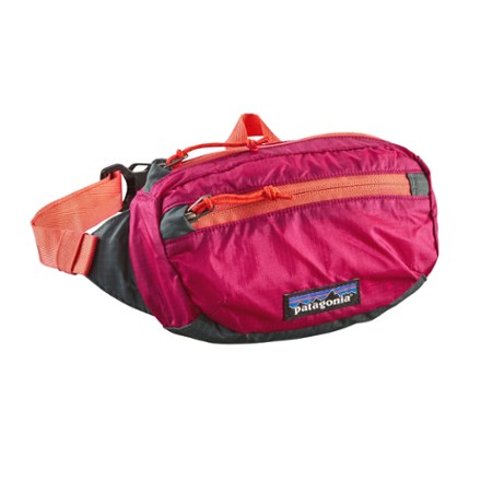 patagonia fanny packs
