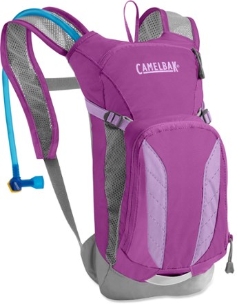  CamelBak Mini M.U.L.E. Kids Hydration Backpack for