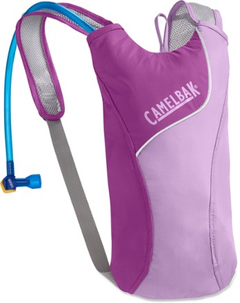 LILAC/PURPLE CACTUS FLOWE