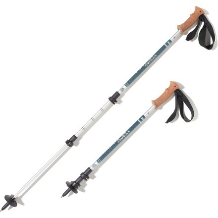 Rei trekking sales pole tips