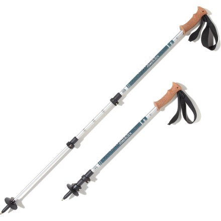 rei traverse trekking pole