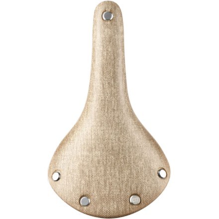 brooks cambium titanium