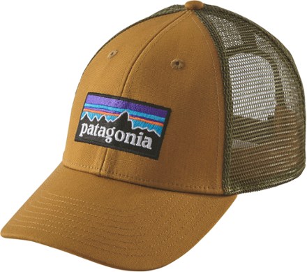 patagonia trucker hat green