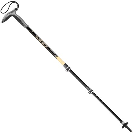 leki wanderfreund black carbon staff