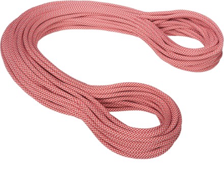 MAMMUT 9.8 Eternity 黒っぽい classic ロープ ザイル 50m