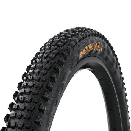 Schwalbe Thunder Burt SG AS Tire | REI Co-op
