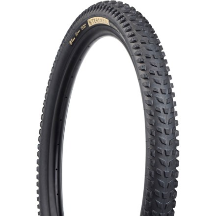 Bontrager Gunnison Pro XR TLR Tire | REI Co-op