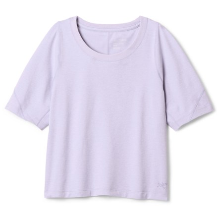 廃盤 アークテリクス RIEL 半袖 SHIRT Lサイズ Arc'teryx Riel Shirt - Women's | REI Co-op