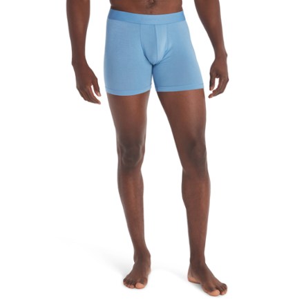 Patagonia Essential Boxer Briefs - Men's - 3