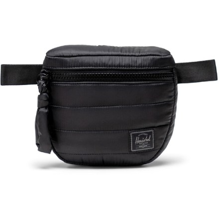 Patagonia Black Hole Waist Pack 5 L | REI Co-op