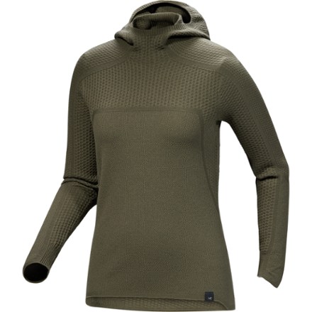 Arc'teryx Hallam Merino Wool Hoody - Women's 0